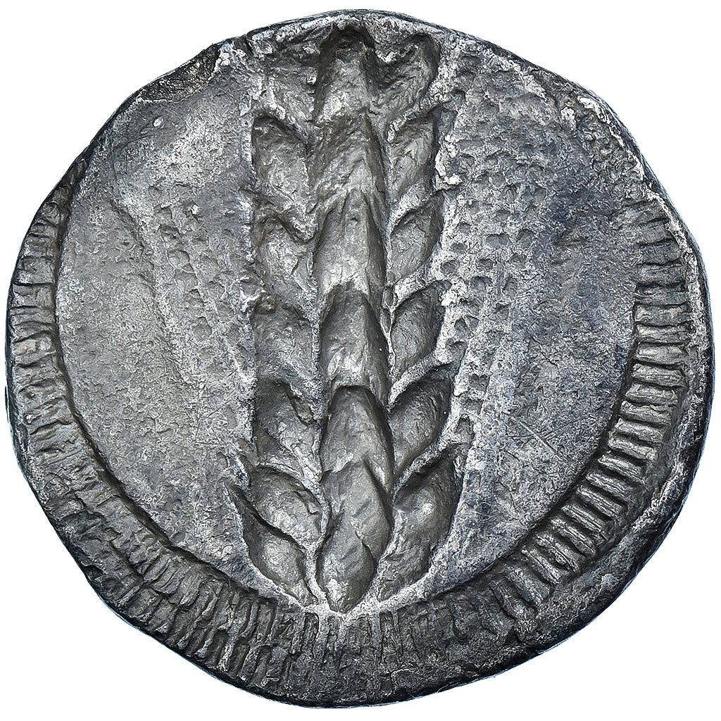 Lucania, Nomos, ca. 510-470 BC, Metapontum, Silber, SS, HGC:1-1028, HN