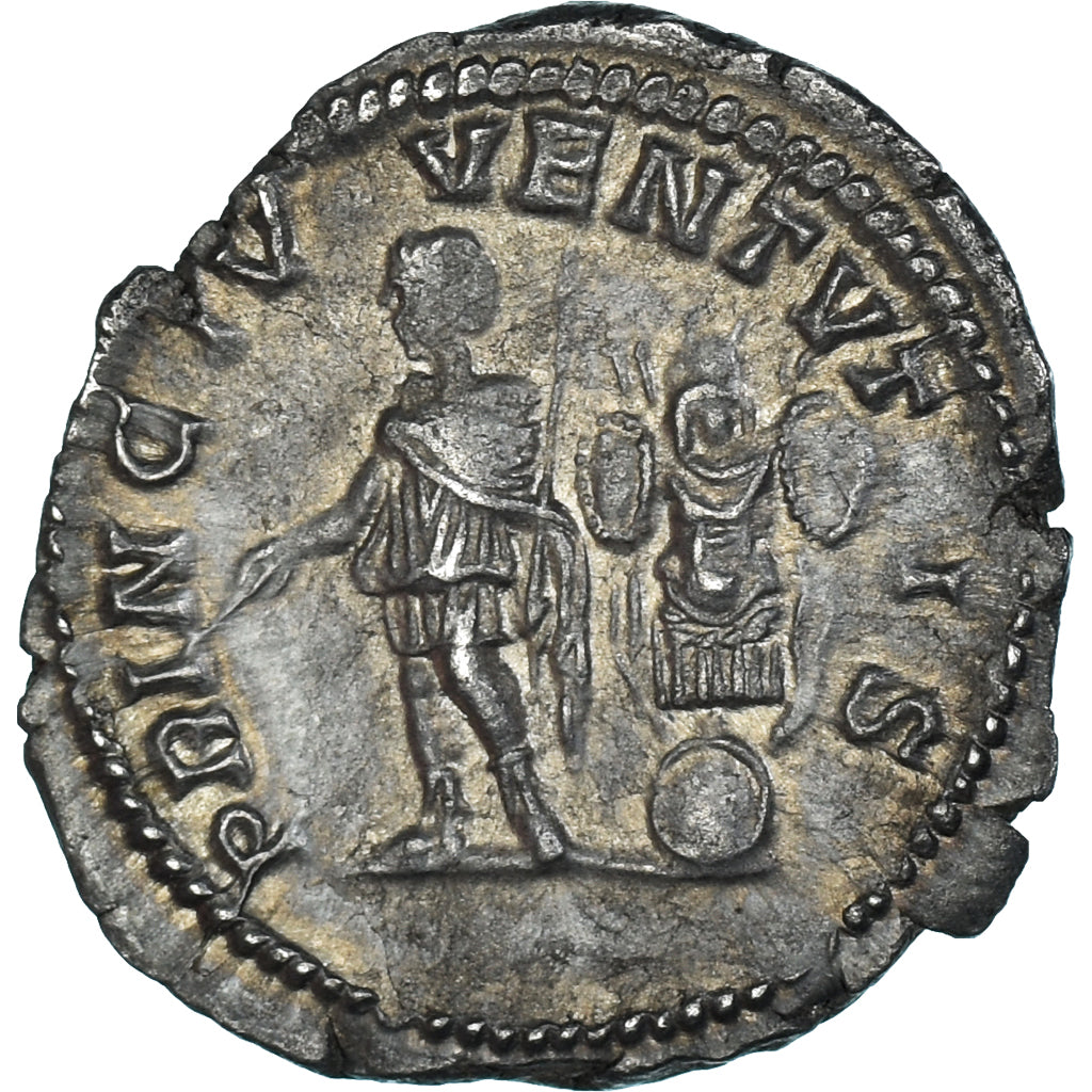 Moneda, Geta, Denarius, 200-202, Rome, EBC, Plata, RIC:IV-18