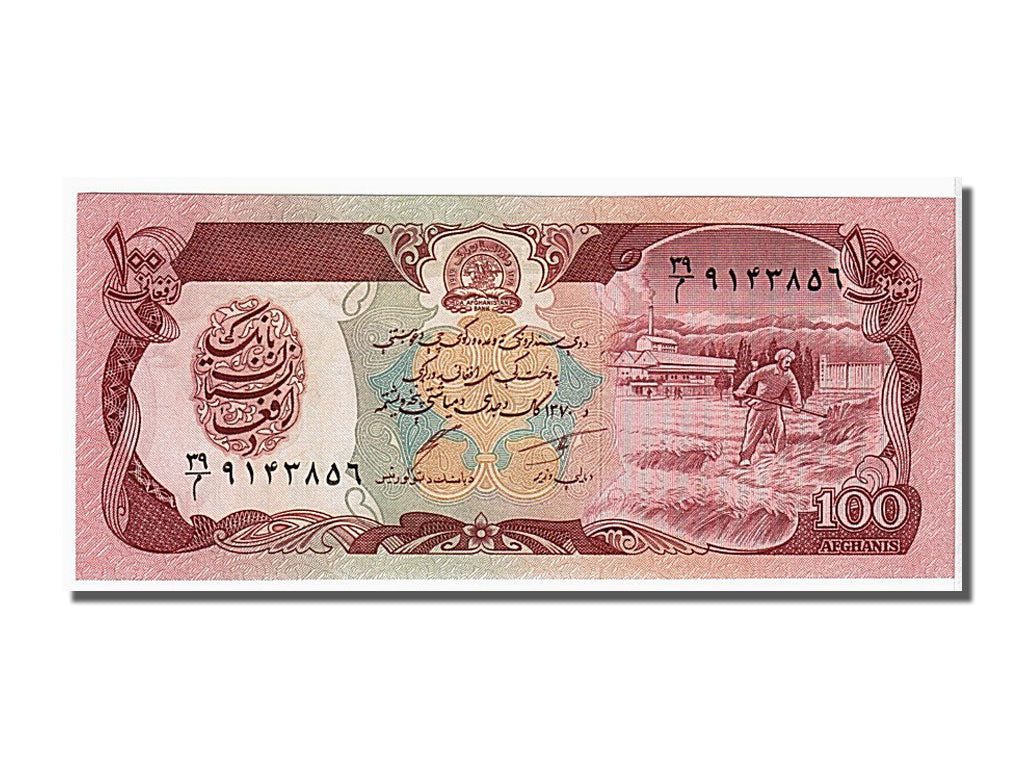 Banknote, Afghanistan, 100 Afghanis, 1991, KM:58c, UNC(65-70)