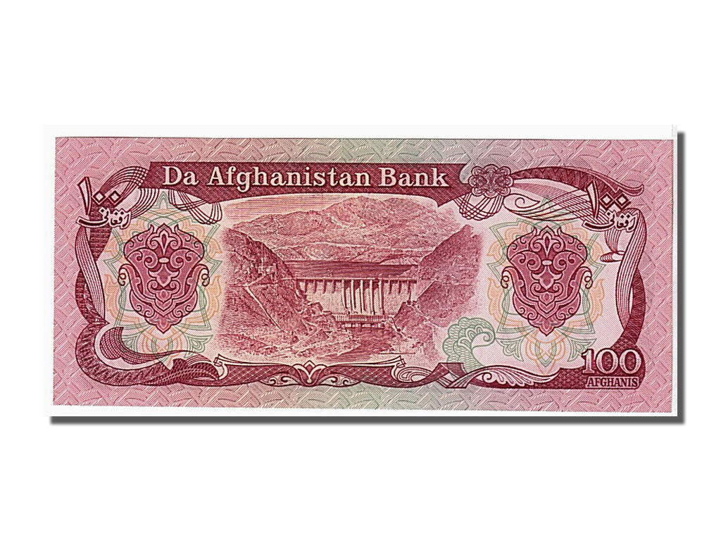 Banknote, Afghanistan, 100 Afghanis, 1991, KM:58c, UNC(65-70)