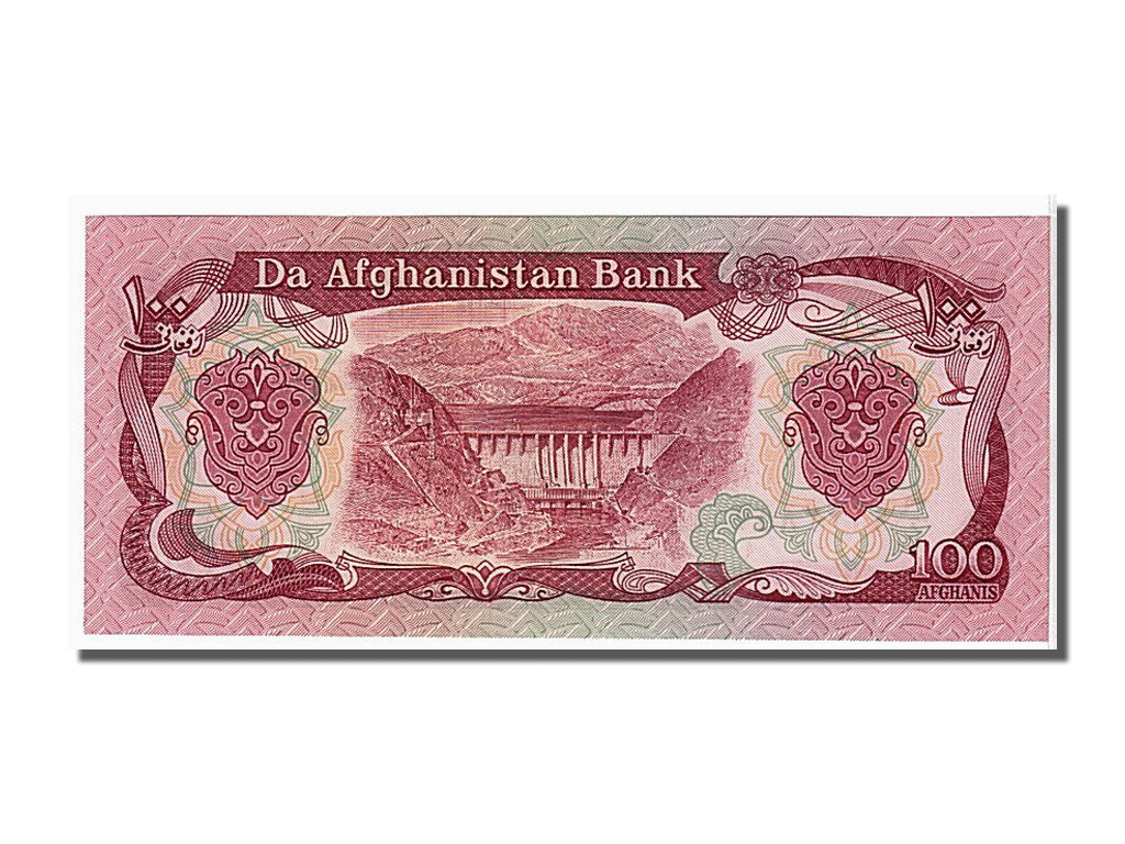 Banknote, Afghanistan, 100 Afghanis, 1991, KM:58c, UNC(65-70)