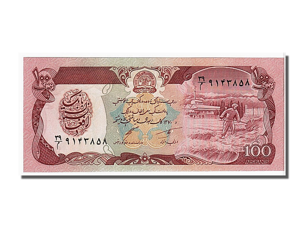 Banknote, Afghanistan, 100 Afghanis, 1991, KM:58c, UNC(65-70)