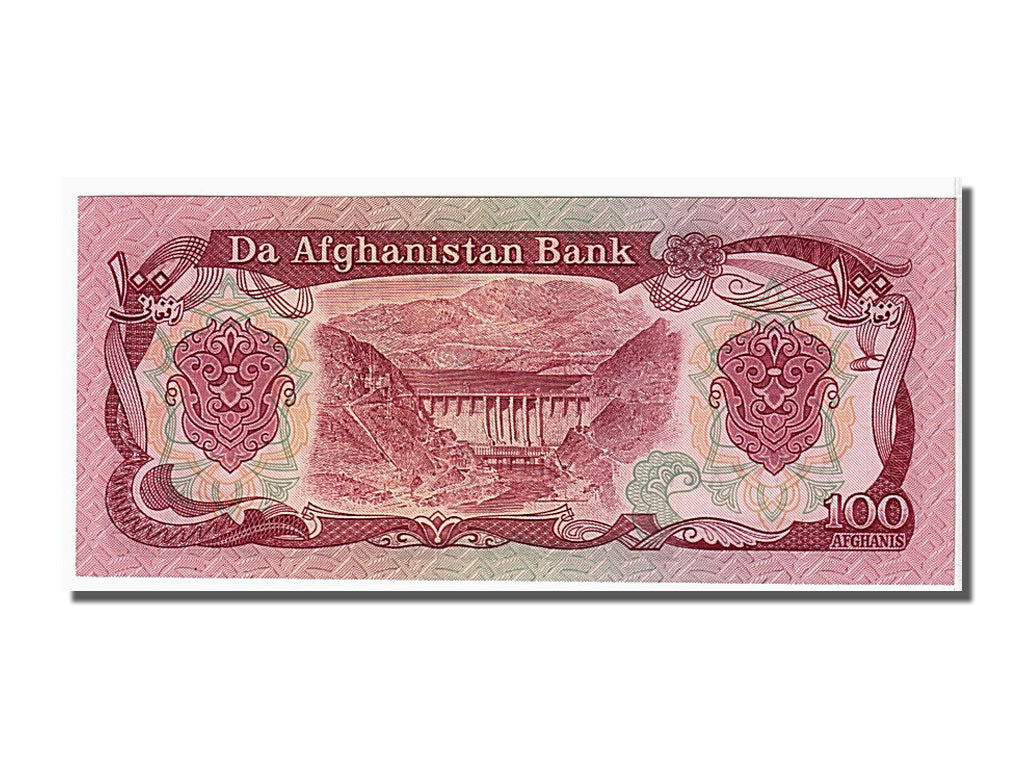 Banknote, Afghanistan, 100 Afghanis, 1991, KM:58c, UNC(65-70)