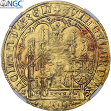 Comté de Hollande, Guillaume VI de Bavière, Chaise d'or, 1404-1417, Dordrecht