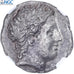 Chalkidian League, Tetradrachm, c. 351 BC, Olynthos, Silver, NGC, Ch AU 5/5-2/5