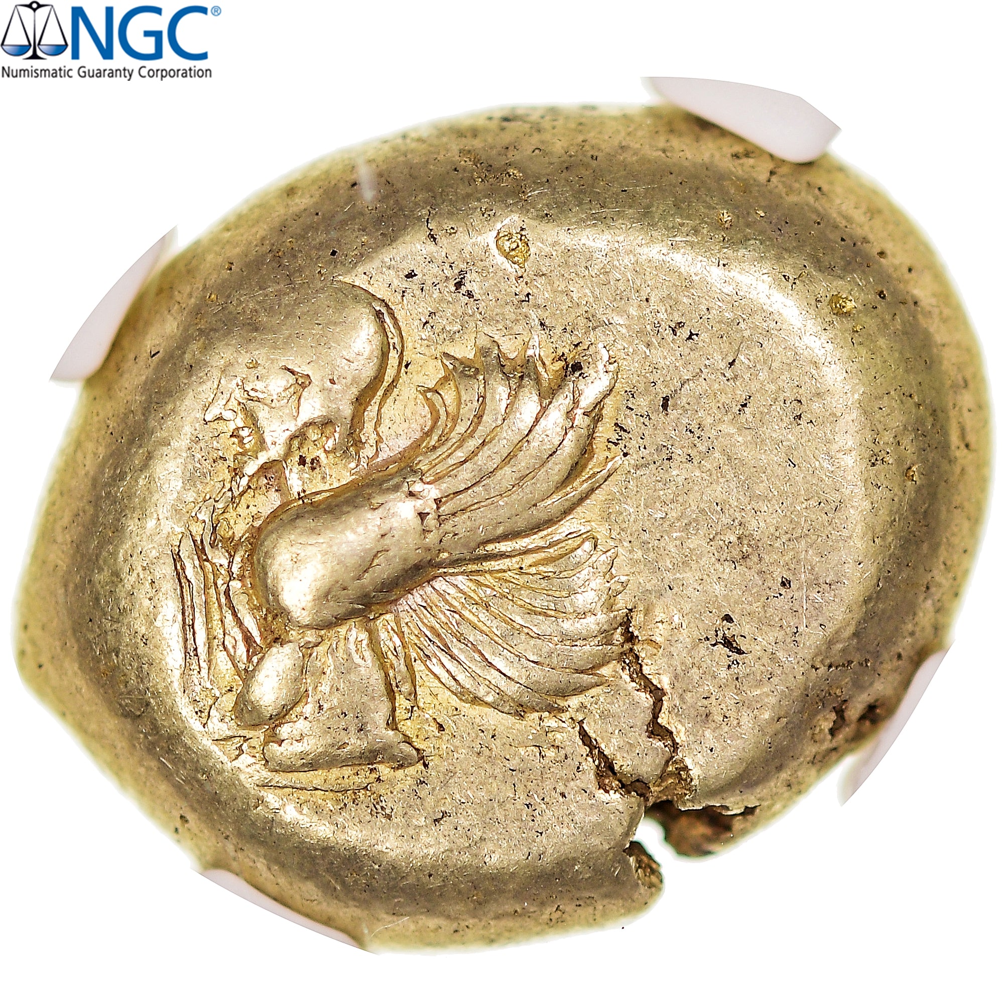 Mysie, Statère, ca. 550-450 BC, Cyzique, Electrum, NGC, Ch VF 3/5-4/5