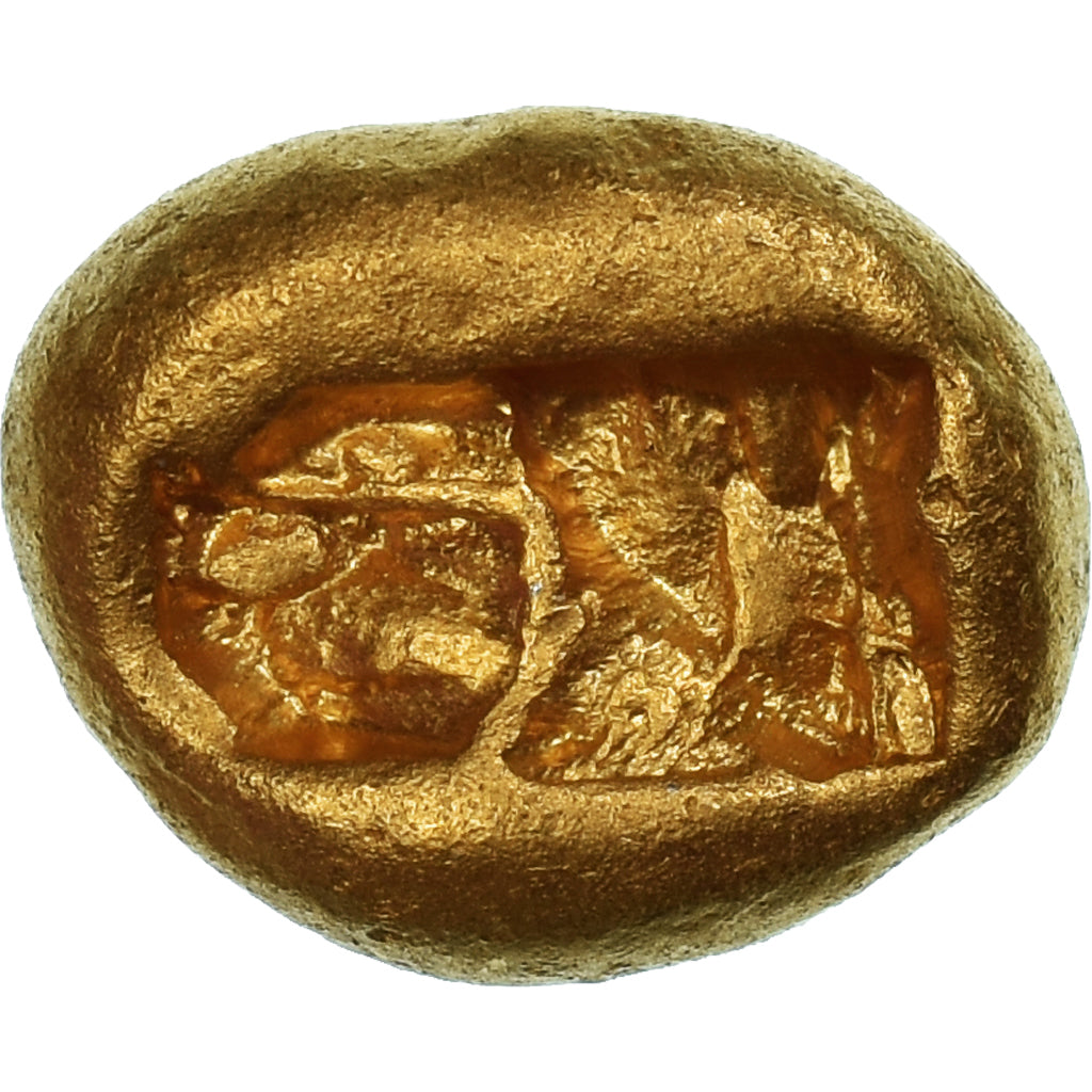 Lydia, Kroisos, Stater, ca. 561-546 BC, Sardis, Gold, NGC, Ch VF 5/5-3/5