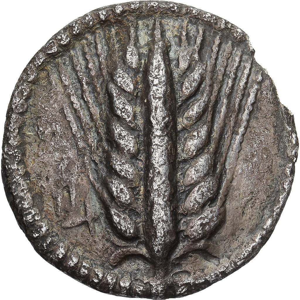 Monnaie, Lucanie, 1/3 nomos, ca. 540-510 BC, Metapontion, TTB, Argent