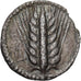 Monnaie, Lucanie, 1/3 nomos, ca. 540-510 BC, Metapontion, TTB, Argent