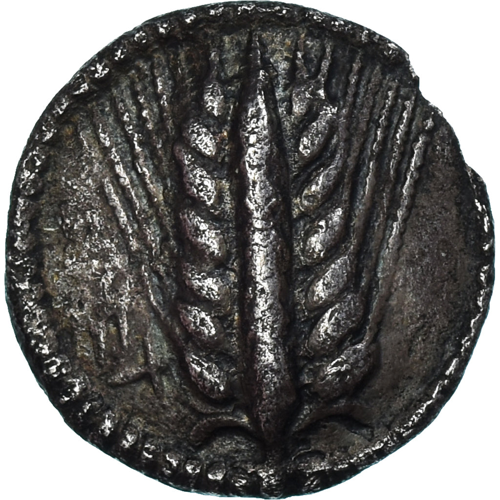 Münze, Lucania, 1/3 nomos, ca. 540-510 BC, Metapontion, SS, Silber