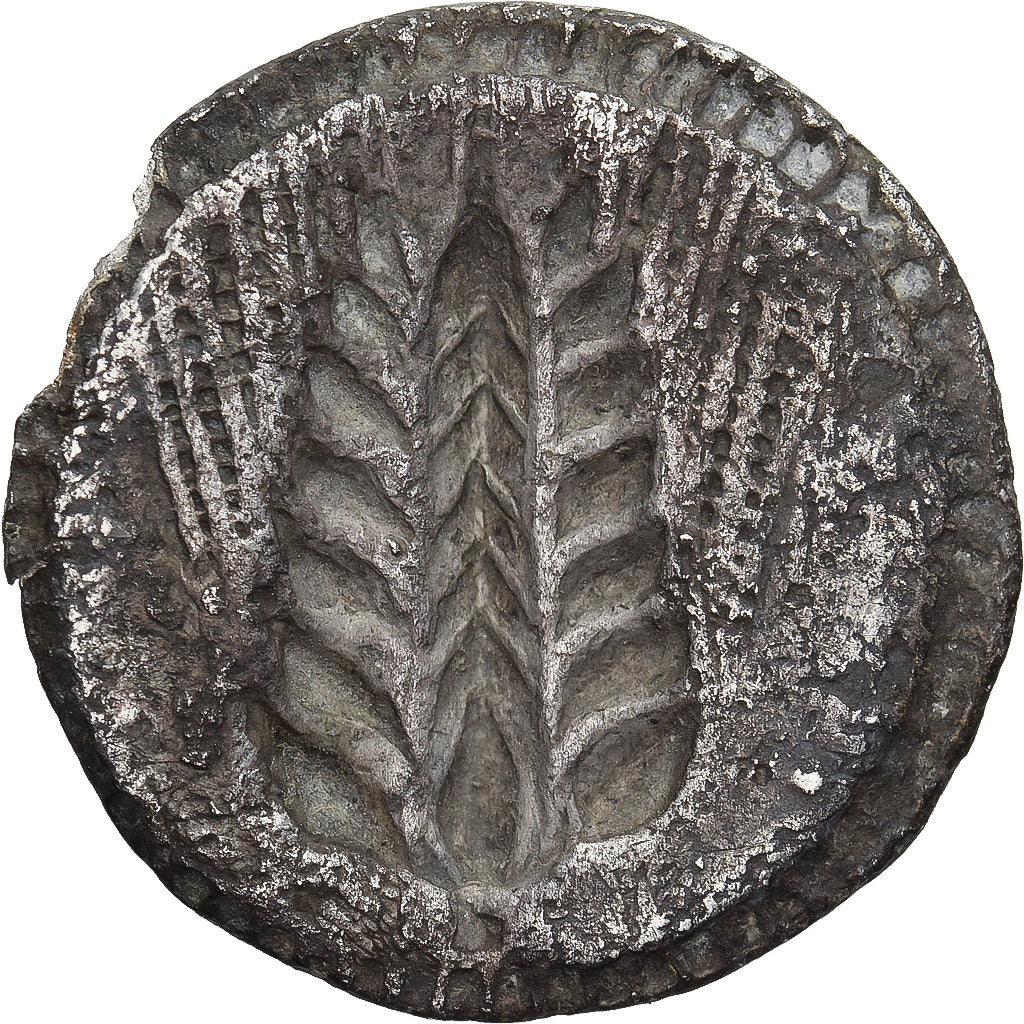 Monnaie, Lucanie, 1/3 nomos, ca. 540-510 BC, Metapontion, TTB, Argent
