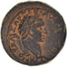 Judaea, Domitian, Æ Unit, 82-83, Neapolis, Bronze, VZ, RPC:II-2221