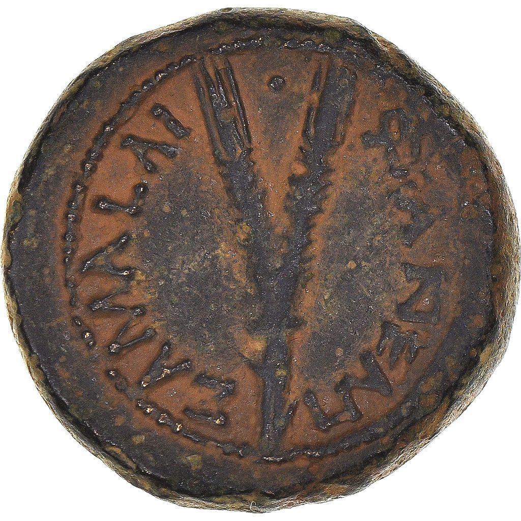 Judaea, Domitian, Æ Unit, 82-83, Neapolis, Bronze, VZ, RPC:II-2221