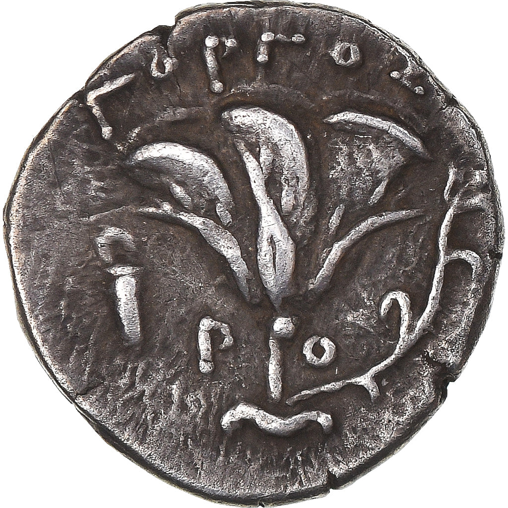 Moneta, Caria, Drachm, 327-304 BC, Rhodes, BB, Argento, Sear:5042 var.