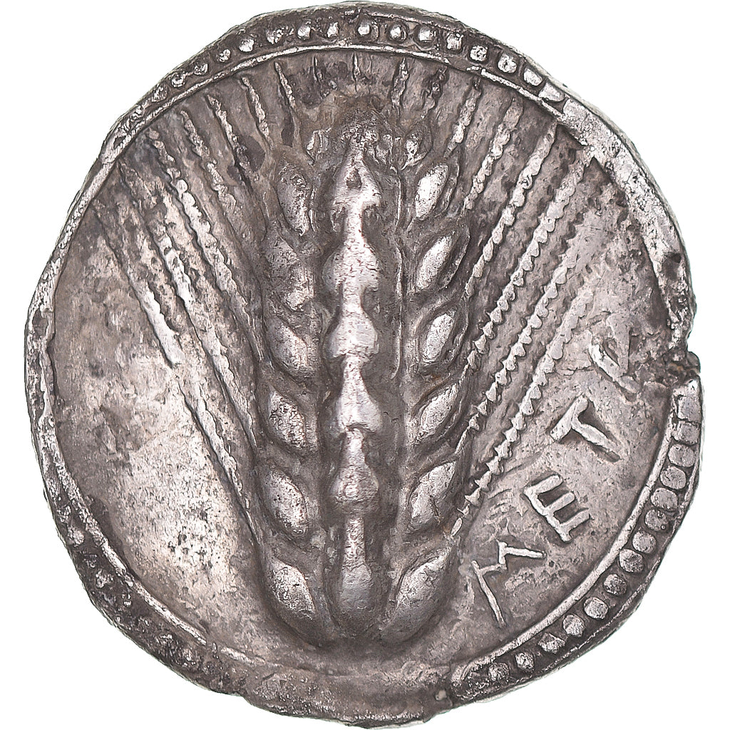 Munten, Lucanië, Stater, ca. 540-510 BC, Metapontion, ZF+, Zilver, HN
