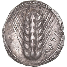 Munten, Lucanië, Stater, ca. 540-510 BC, Metapontion, ZF+, Zilver, HN