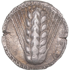 Lucania, Nomos, ca. 510-470 BC, Metapontum, Srebro, AU(50-53), HGC:1-1028, HN