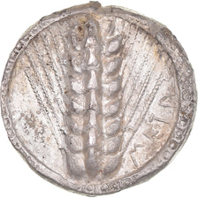 Lucanie, Statère, ca. 510-470 BC, Métaponte, Argent, TTB+, HGC:1-1028