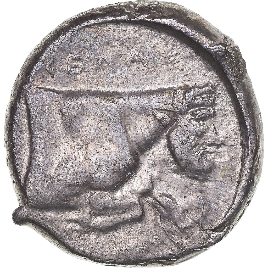 Sicily, Tetradrachm, ca. 430-425 BC, Gela, Silver, VF(30-35), HGC:2-347