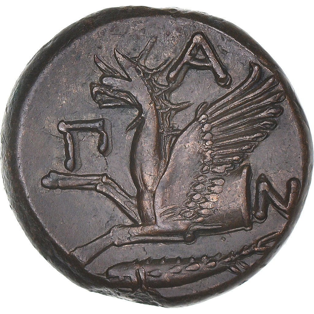 Münze, Cimmerian Bosporos, Æ, ca. 310-304/3 BC, Pantikapaion, SS+, Bronze