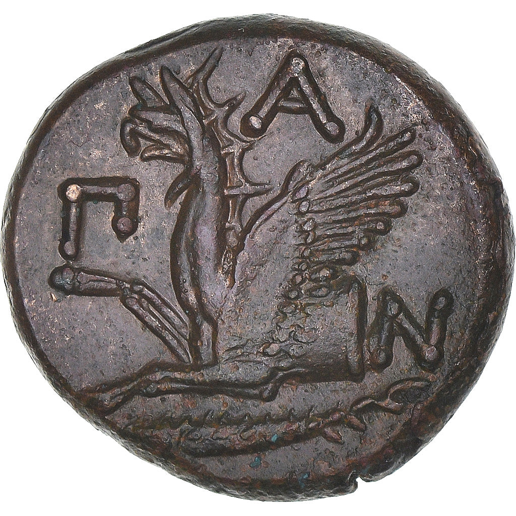 Coin, Cimmerian Bosporos, Æ, ca. 310-304/3 BC, Pantikapaion, AU(50-53), Bronze