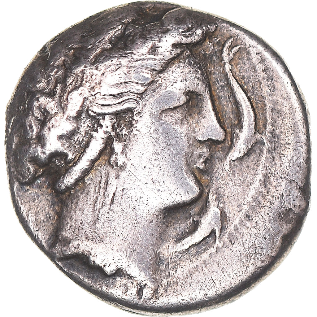 Moneta, Campania, Neapolis, Didrachm, ca. 320-300 BC, Neapolis, BB, Argento