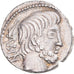 Tituria, Denarius, 89 BC, Rome, Prata, AU(55-58), Crawford:344/3