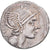 Flaminia, Denarius, 109-108 BC, Rome, Prata, AU(50-53), Crawford:302/1