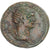 Coin, Trajan, Dupondius, 116, Rome, AU(50-53), Bronze, RIC:674