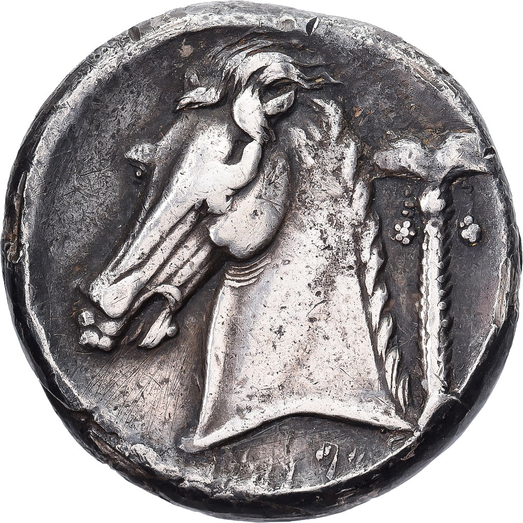 Carthaginian Sicily, Tetradrachm, ca. 320-300 BC, Entella?, Silver, VF(30-35)