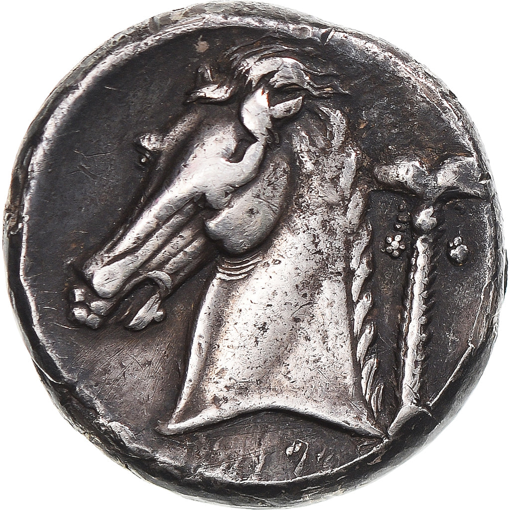Carthaginian Sicily, Tetradrachm, ca. 320-300 BC, Entella?, Silver, VF(30-35)