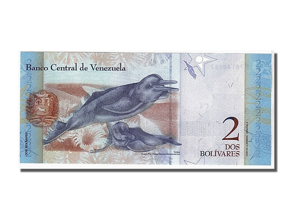 Banknote, Venezuela, 2 Bolivares, 2007, KM:88b, UNC(65-70)