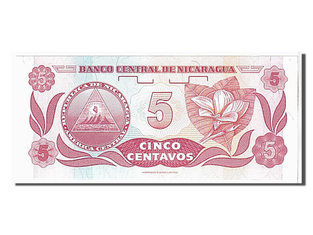 Banknote, Nicaragua, 5 Centavos, 1990, KM:168a, UNC(65-70)