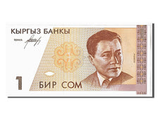 Banknote, KYRGYZSTAN, 1 Som, 1999, KM:15, UNC(65-70)