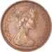 Moneda, Gran Bretaña, 1/2 New Penny, 1979