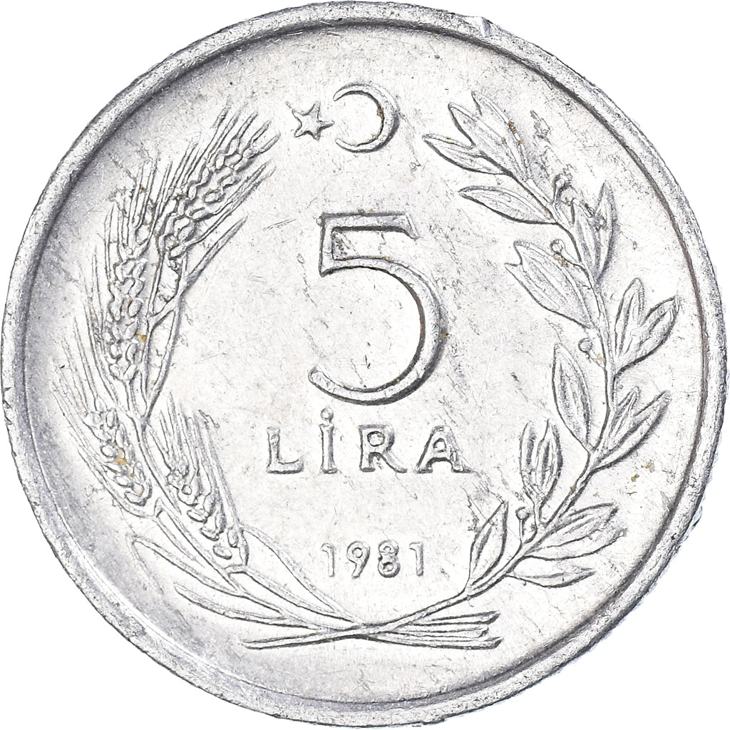Moneta, Turchia, 5 Lira, 1981