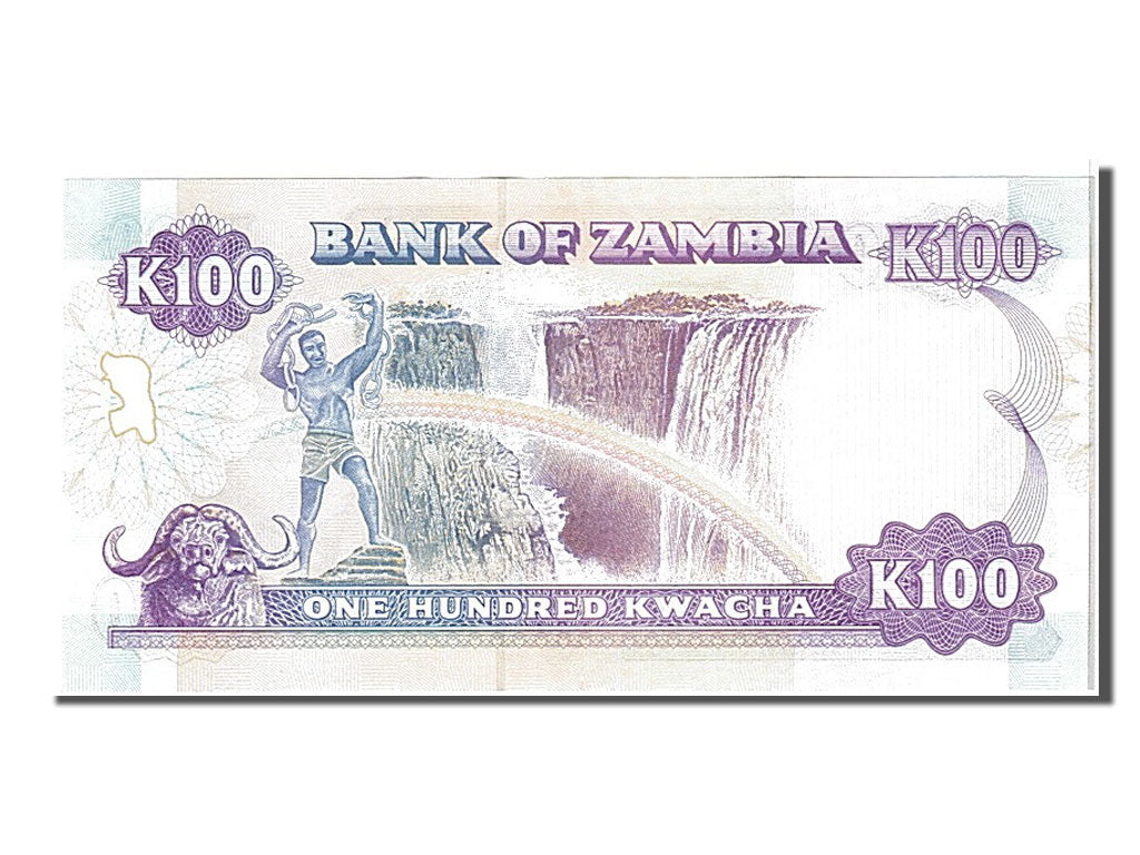 Billet, Zambie, 100 Kwacha, 1991, NEUF