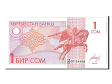 Banknote, KYRGYZSTAN, 1 Som, 1993, UNC(65-70)