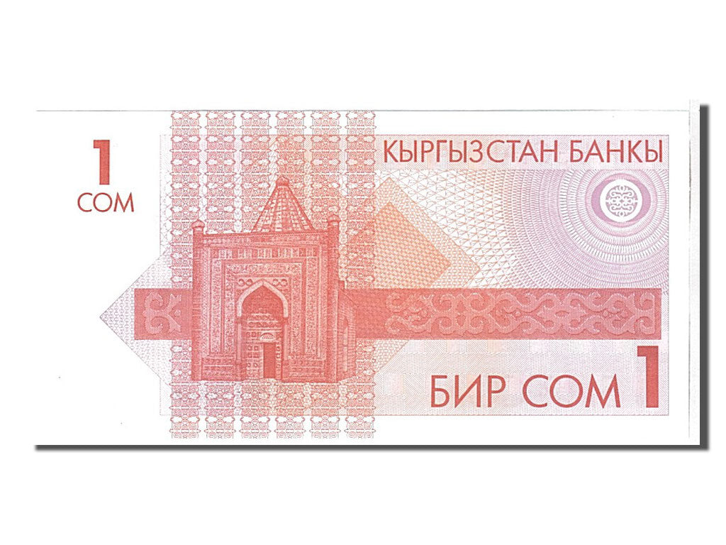 Banknote, KYRGYZSTAN, 1 Som, 1993, UNC(65-70)