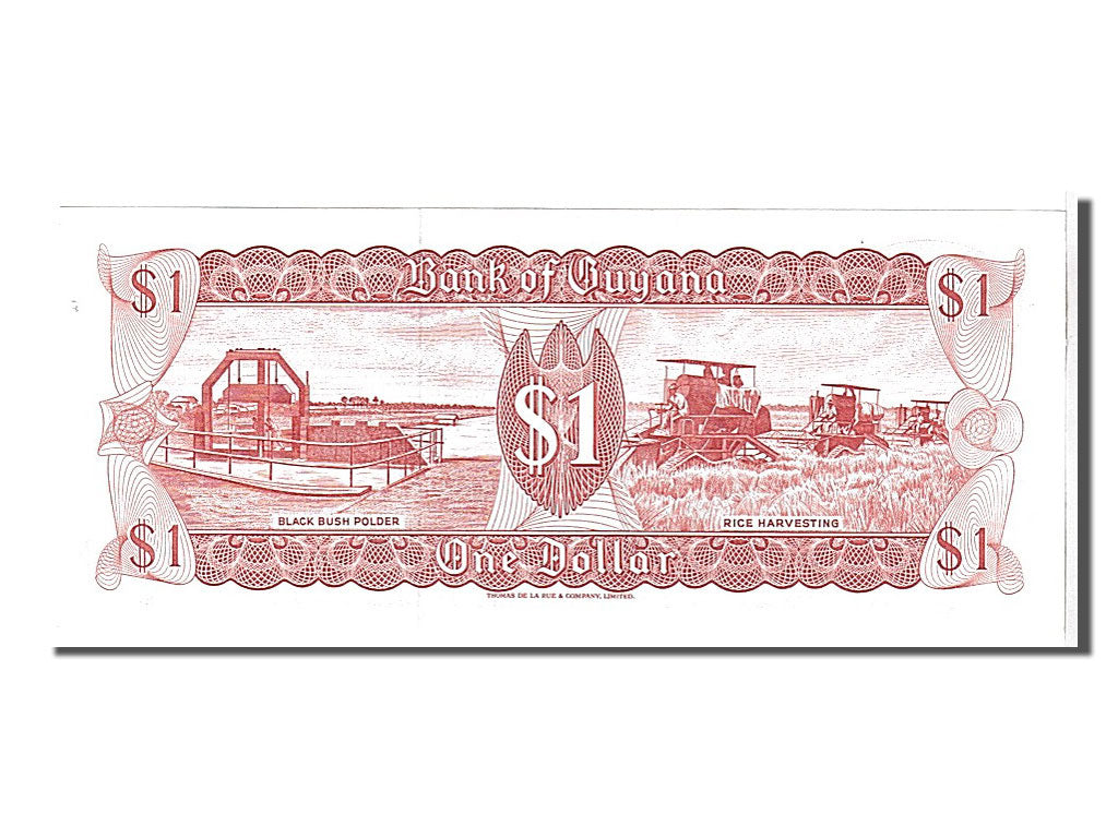 Banconote, Guyana, 1 Dollar, 1992, KM:21g, FDS