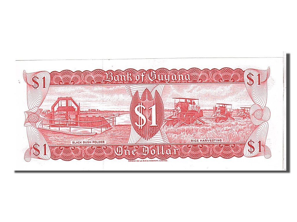 Billet, Guyana, 1 Dollar, 1989, NEUF