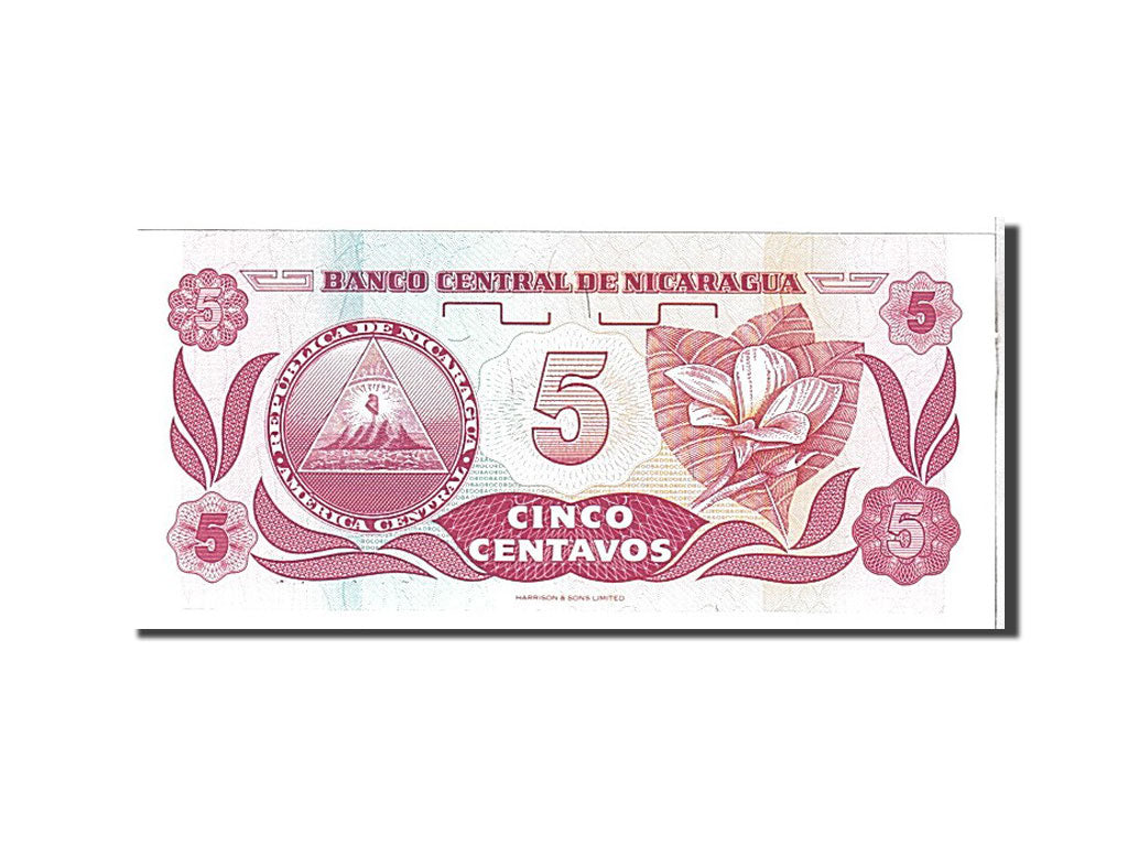 Banknote, Nicaragua, 5 Centavos, 1991, KM:168a, UNC(65-70)