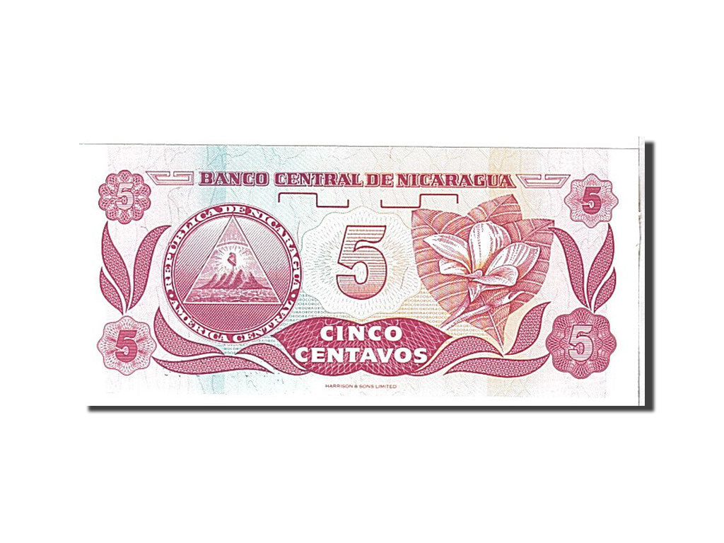 Banknote, Nicaragua, 5 Centavos, 1991, KM:168a, UNC(65-70)
