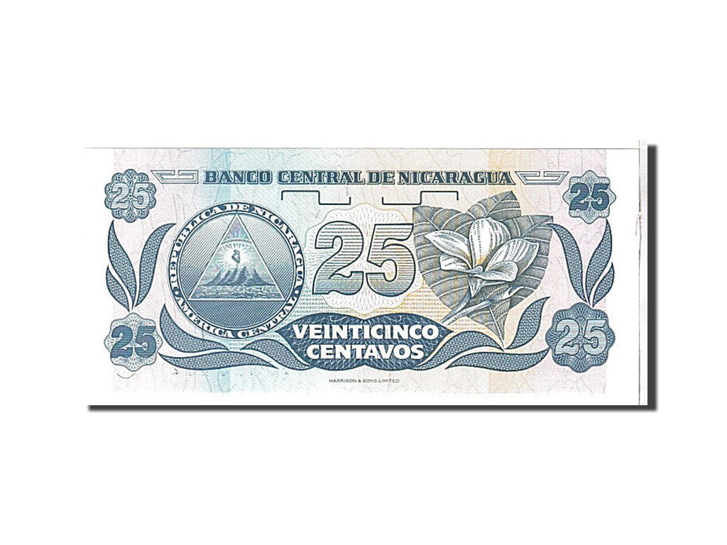 Banknote, Nicaragua, 25 Centavos, 1991, KM:170a, UNC(65-70)
