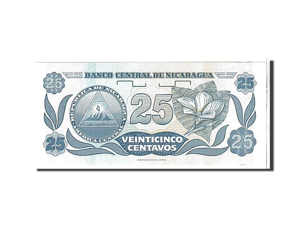 Banknote, Nicaragua, 25 Centavos, 1991, KM:170a, UNC(65-70)