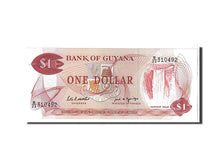 Biljet, Guyana, 1 Dollar, 1989, KM:21f, NIEUW