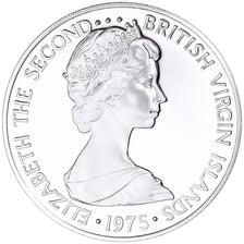 Coin, BRITISH VIRGIN ISLANDS, Elizabeth II, Dollar, 1975, Franklin Mint, U.S.A.