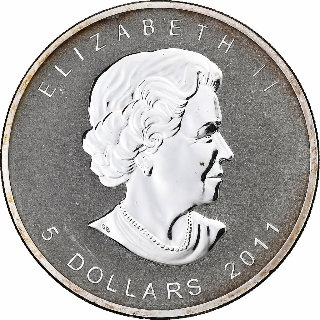 Canadá, Elizabeth II, 5 dollars, 1 oz, Maple Leaf, 2011, Ottawa, Prueba, Plata