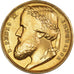 Brazil, Medal, 1866, Gold, VF(20-25)