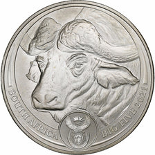 Sudáfrica, 5 Rand, le Buffle, 2021, South Africa Mint, 1 Oz, Plata, FDC
